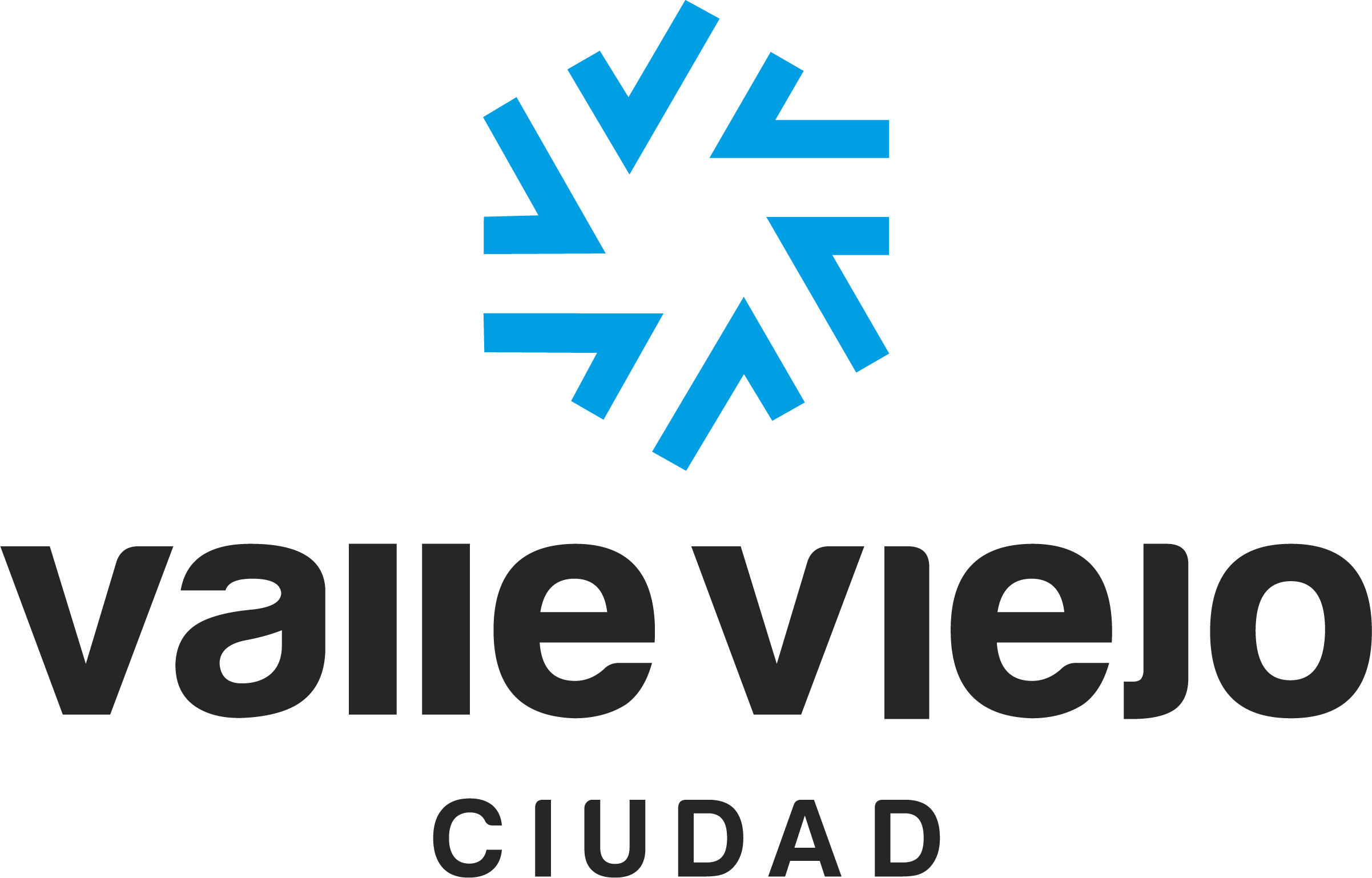 Logo Municipalidad de Valle Viejo